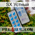 SX Устный new15